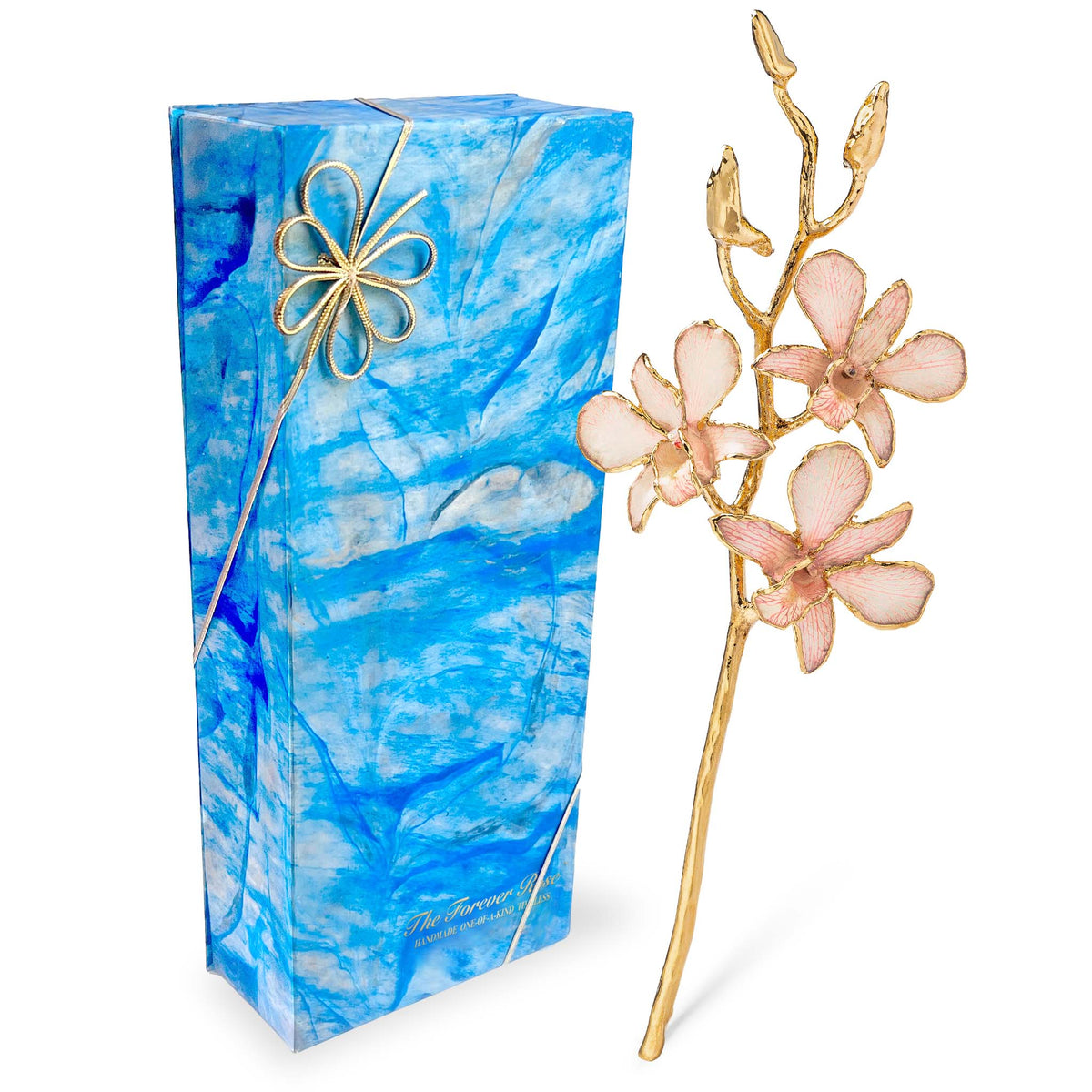 24K Gold Orchid - Pink Lace
