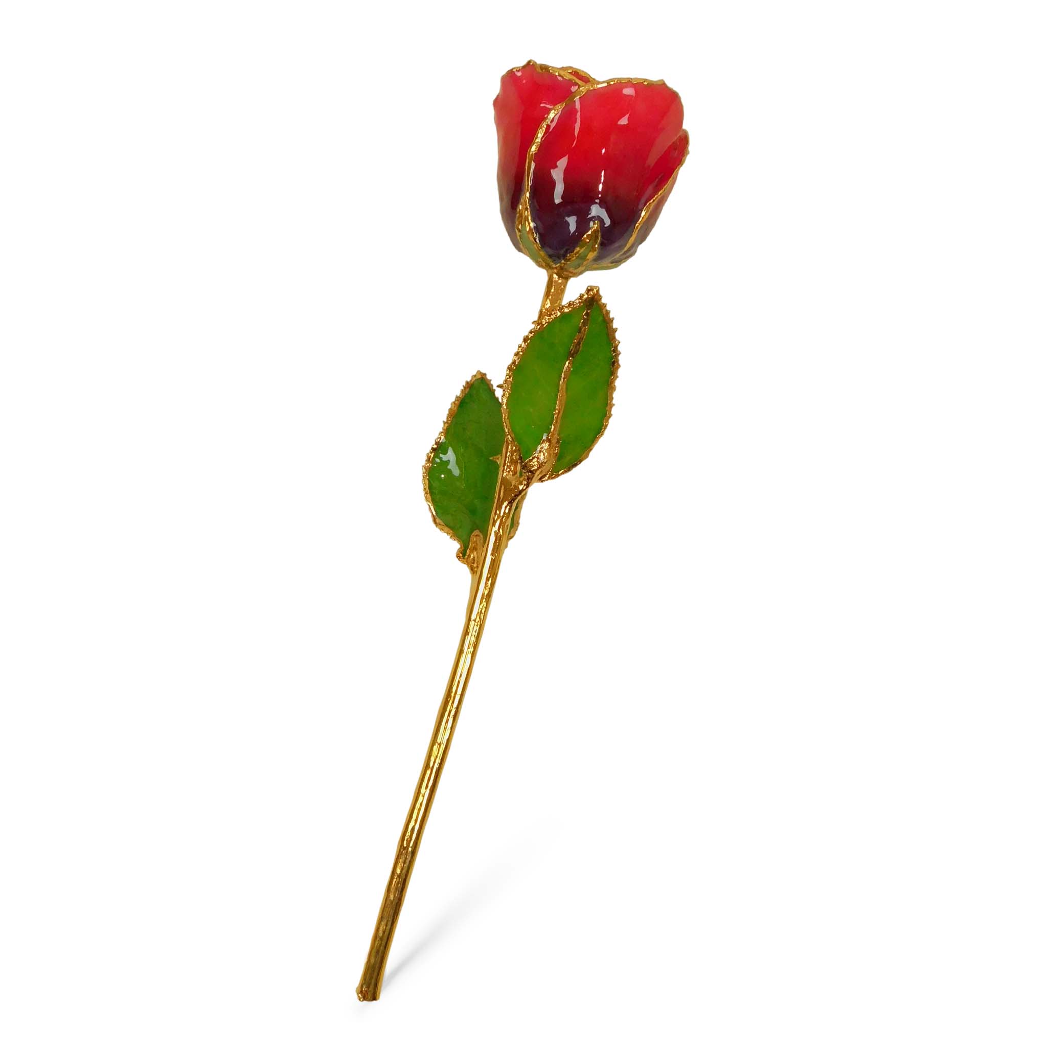24K Gold Forever Rose - Cabernet (Wine Not Included)