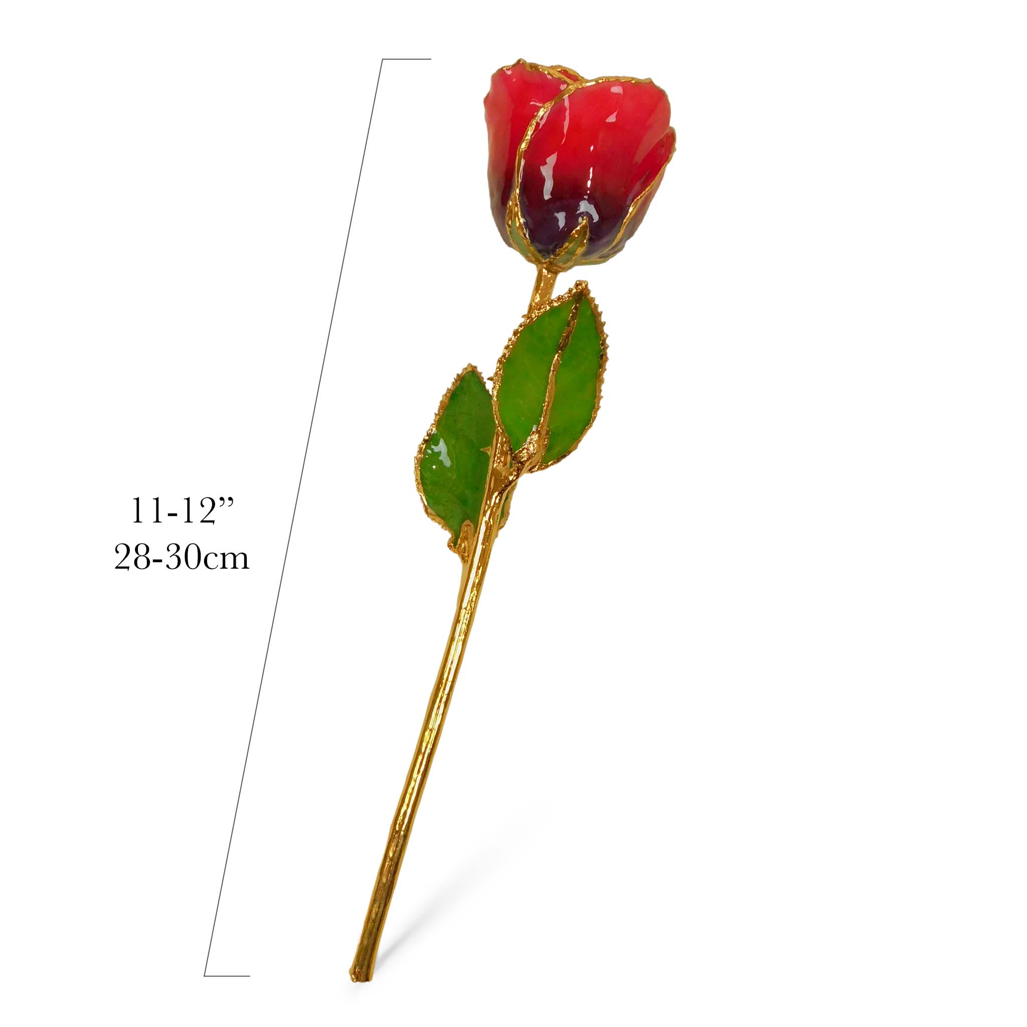 24K Gold Forever Rose - Cabernet (Wine Not Included)