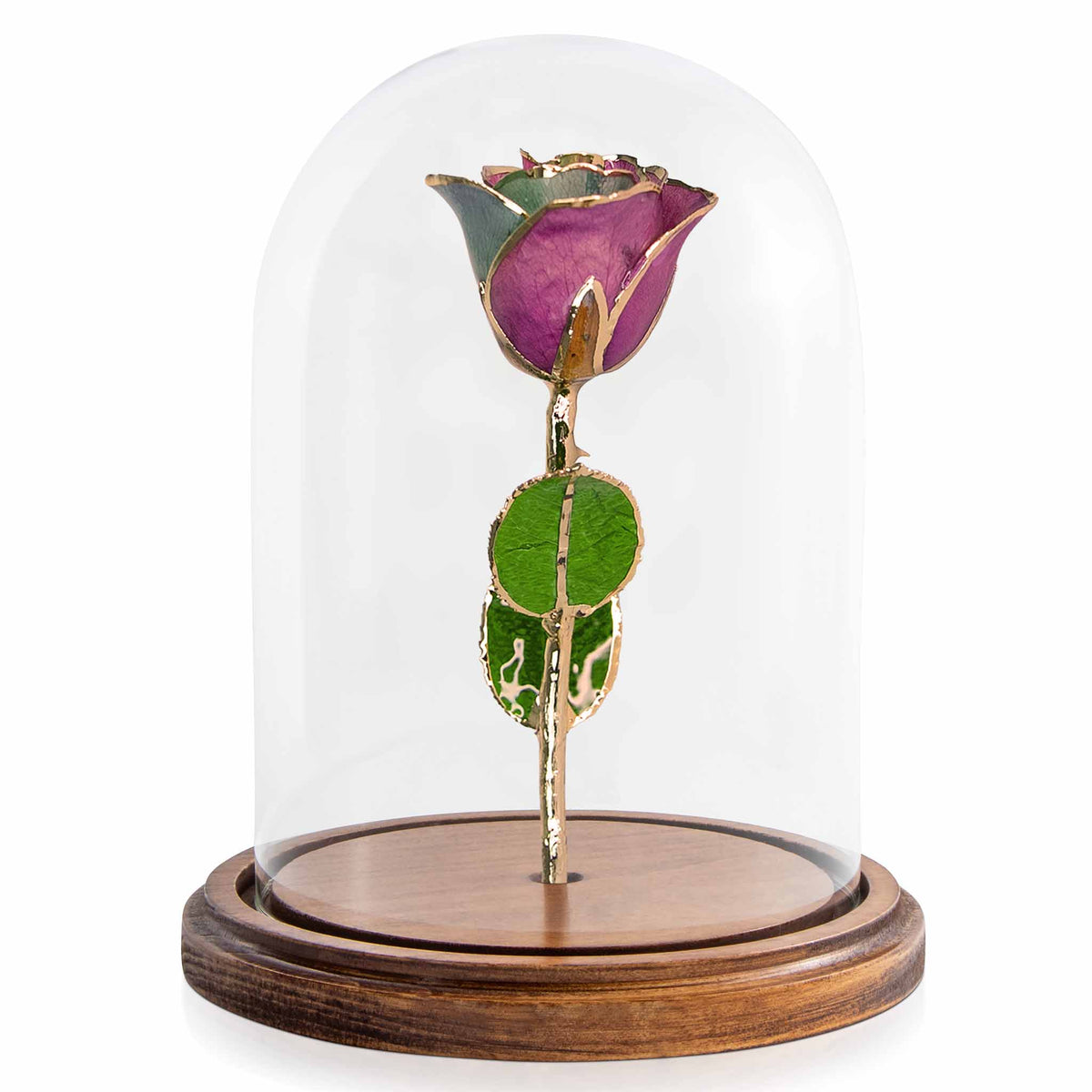 Custom Enchanted Rose w/ 24K Gold Fairy