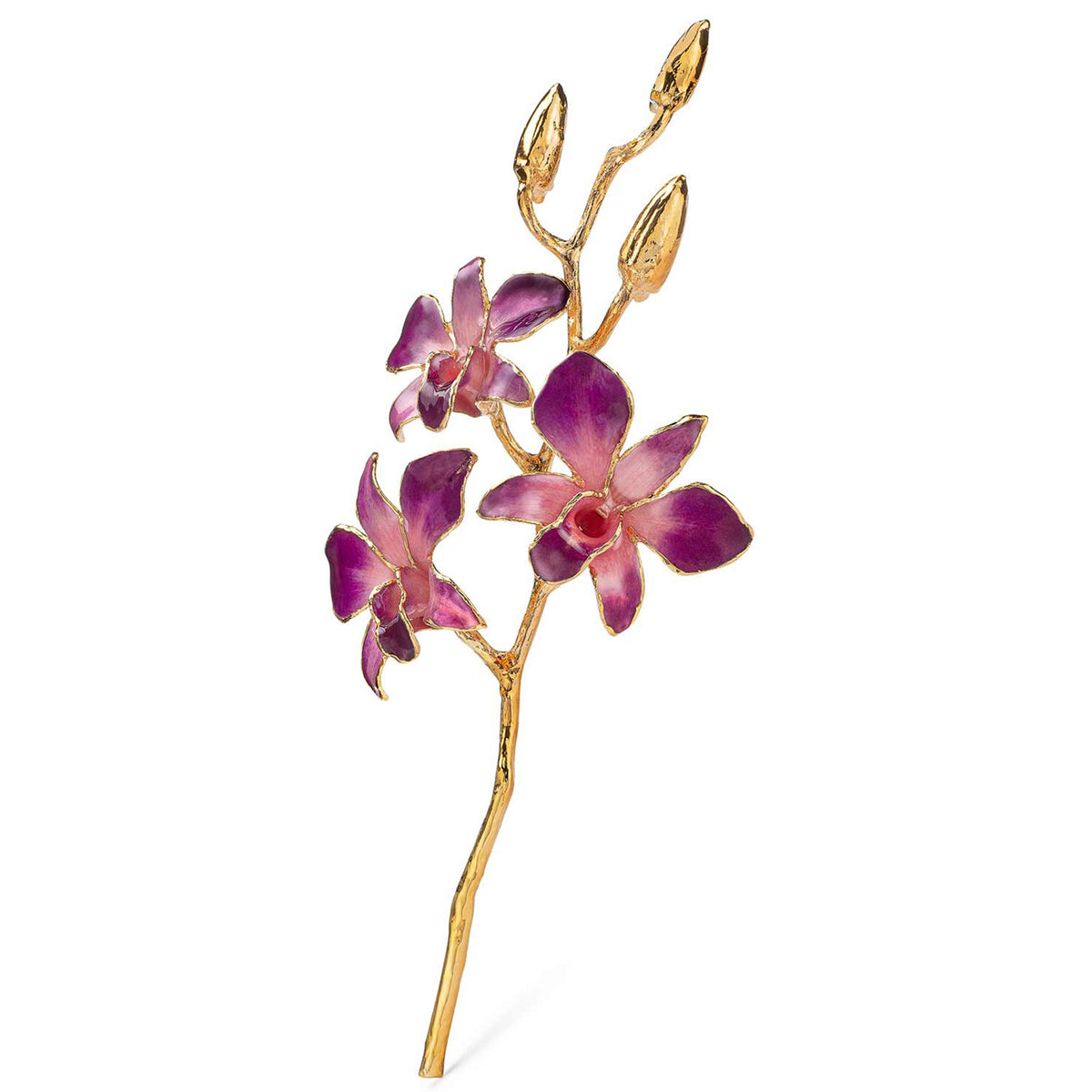24K Gold Dipped Orchid in Lilac Pink view of gold stem and flowers