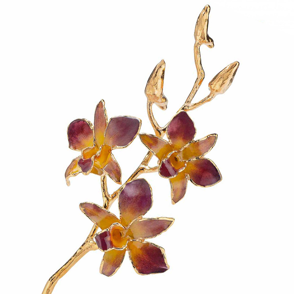 24K Gold Dipped Orchid in Lilac Yellow view of gold stem and flowers