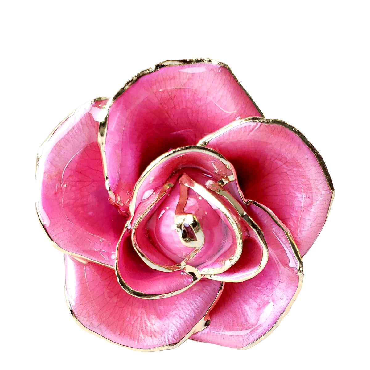 Custom Enchanted Rose - 24K Gold Forever Rose - Pink (OPEN BLOOM)