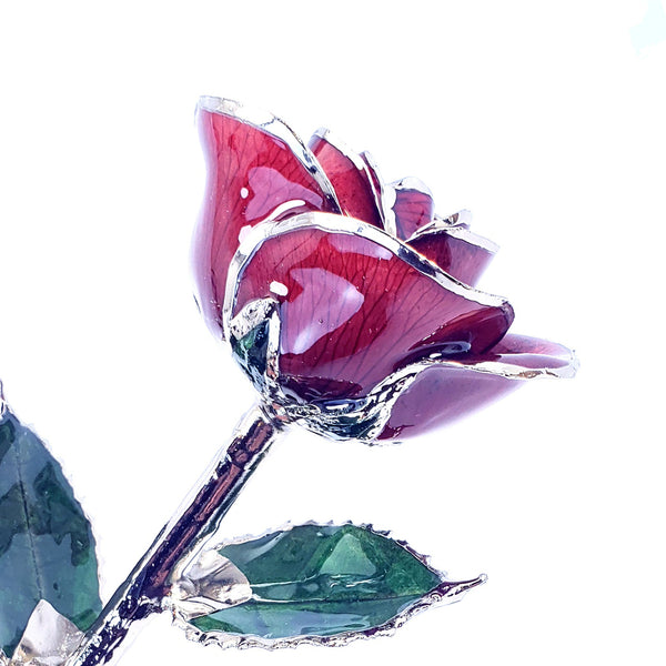 Platinum Trimmed Roses Tagged 