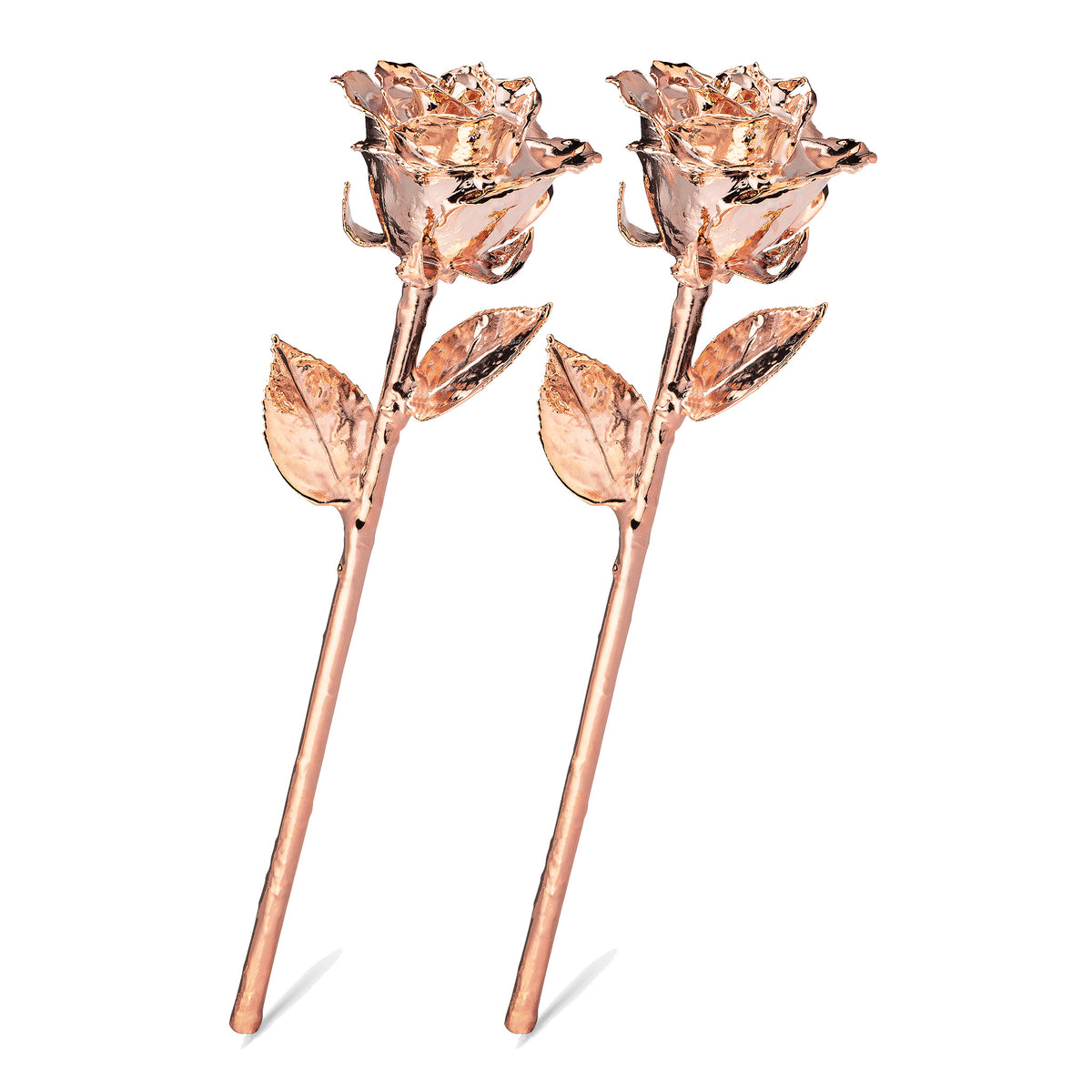 Rose Gold Dipped Roses: Combo Deal