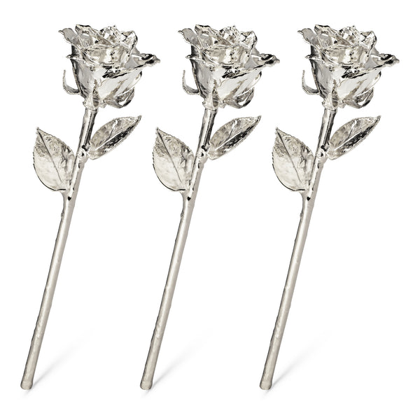 Silver Dipped Roses: Triple Deal - The Forever Rose