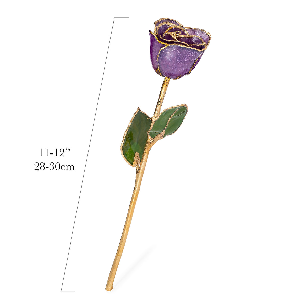 24K Gold Trimmed Forever Rose with Amethyst (purple color) with sparkles suspended in the finish. View of Stem, Leaves, and Rose Petals and Showing Detail of Gold. Shows measurements.