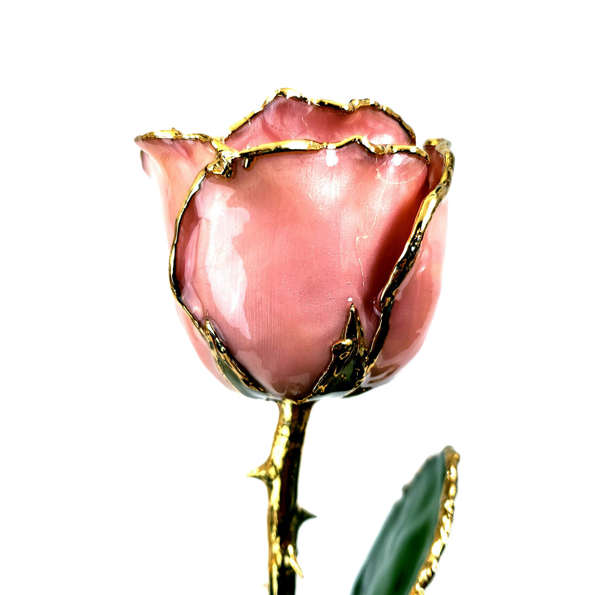 24K Gold Forever Rose - Pink Opal