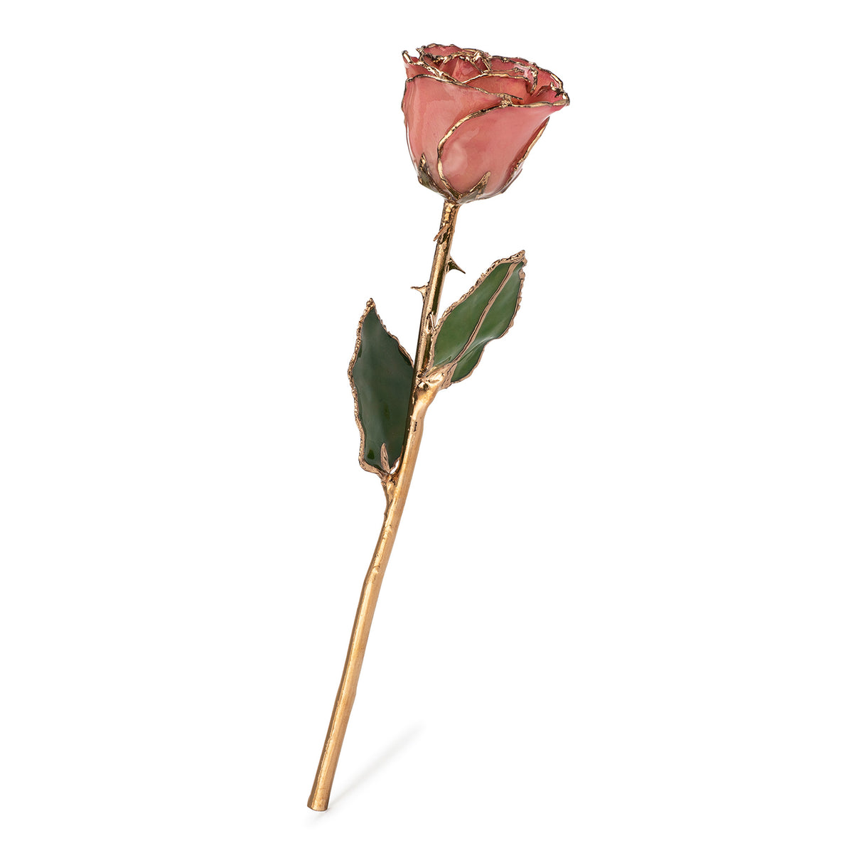 24K Gold Trimmed Forever Rose with Pink Petals. View of Stem, Leaves, and Rose Petals and Showing Detail of Gold Trim