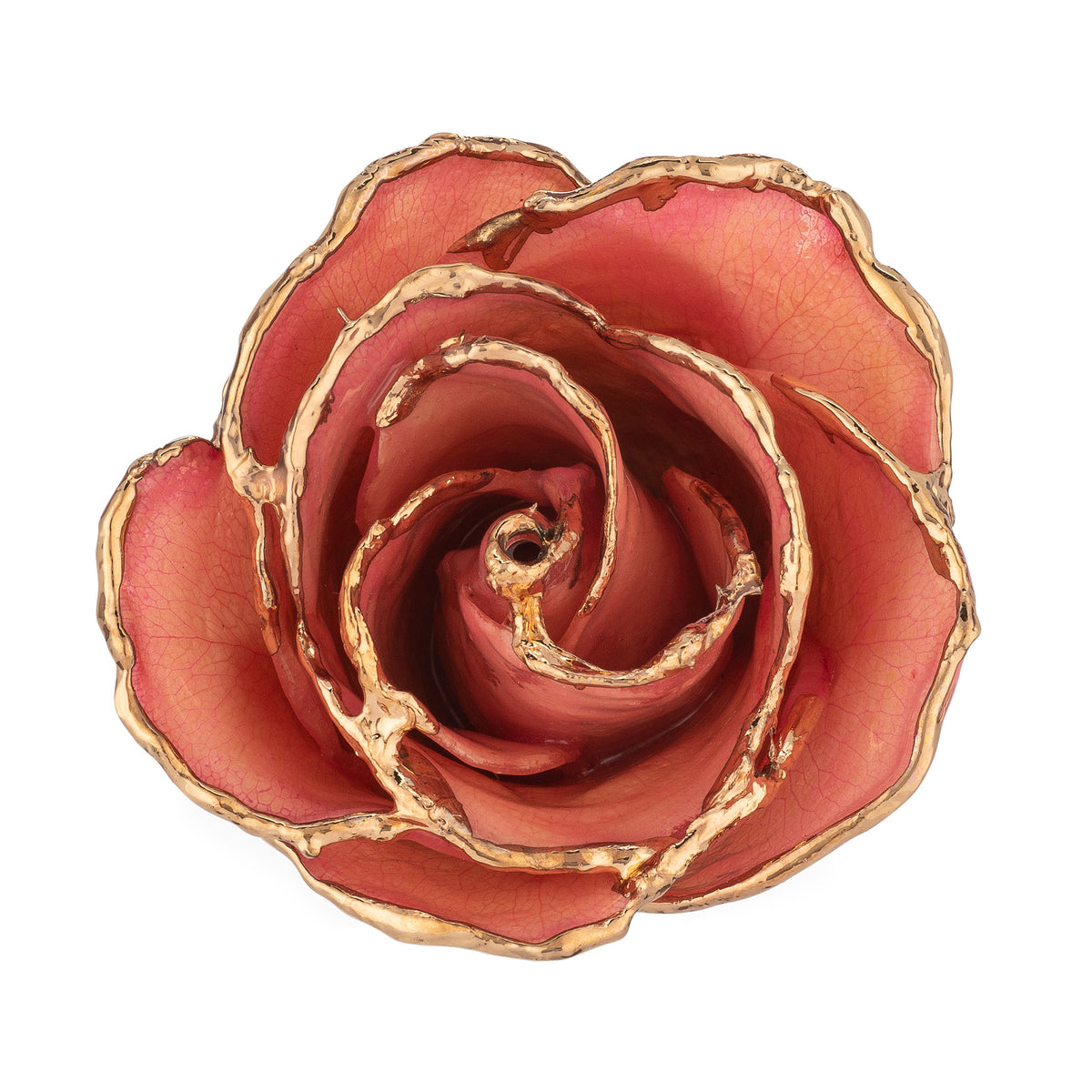 Top view of 24K Gold Trimmed Forever Rose with Pink Petals. View of Stem, Leaves, and Rose Petals and Showing Detail of Gold Trim