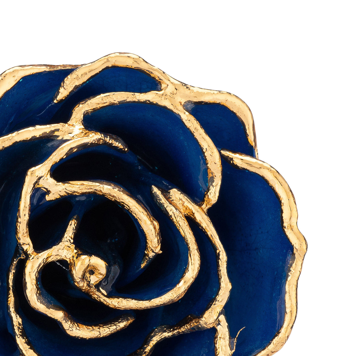 24K Gold Trimmed Forever Rose with Sapphire Blue Petals with Sapphire Suspended Sparkles. View of Stem, Leaves, and Rose Petals and Showing Detail of Gold Trim zoomed in view from top