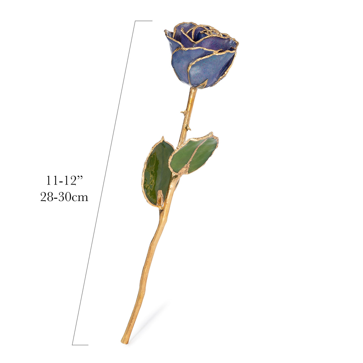 24K Gold Trimmed Forever Rose with Tanzanite (Purple, Lavender, and Blue color blend) Petals with Sapphire Blue Suspended Sparkles. View of Stem, Leaves, and Rose Petals and Showing Detail of Gold Trim with measurements