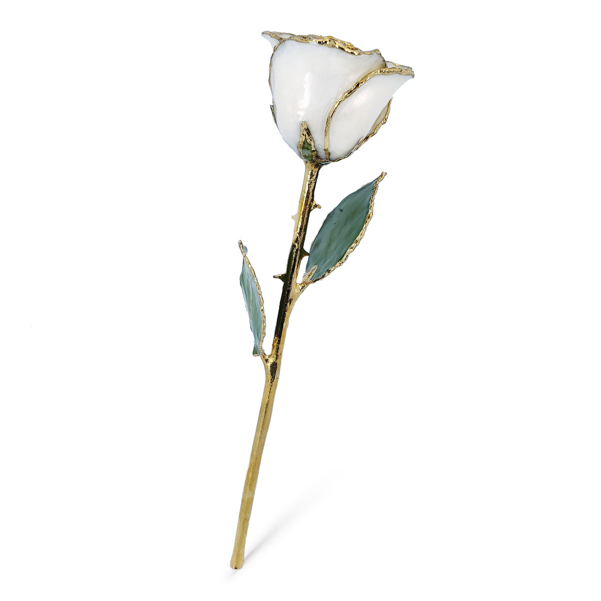 24K Gold Forever Rose - White Pearl (June Birthstone)