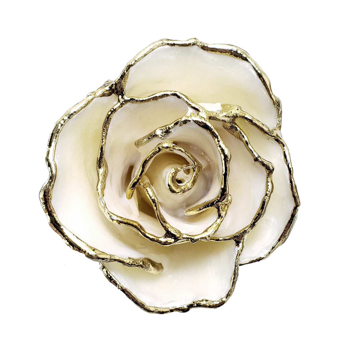 Custom Enchanted Rose - 24K Gold White Pearl (June Birthstone)