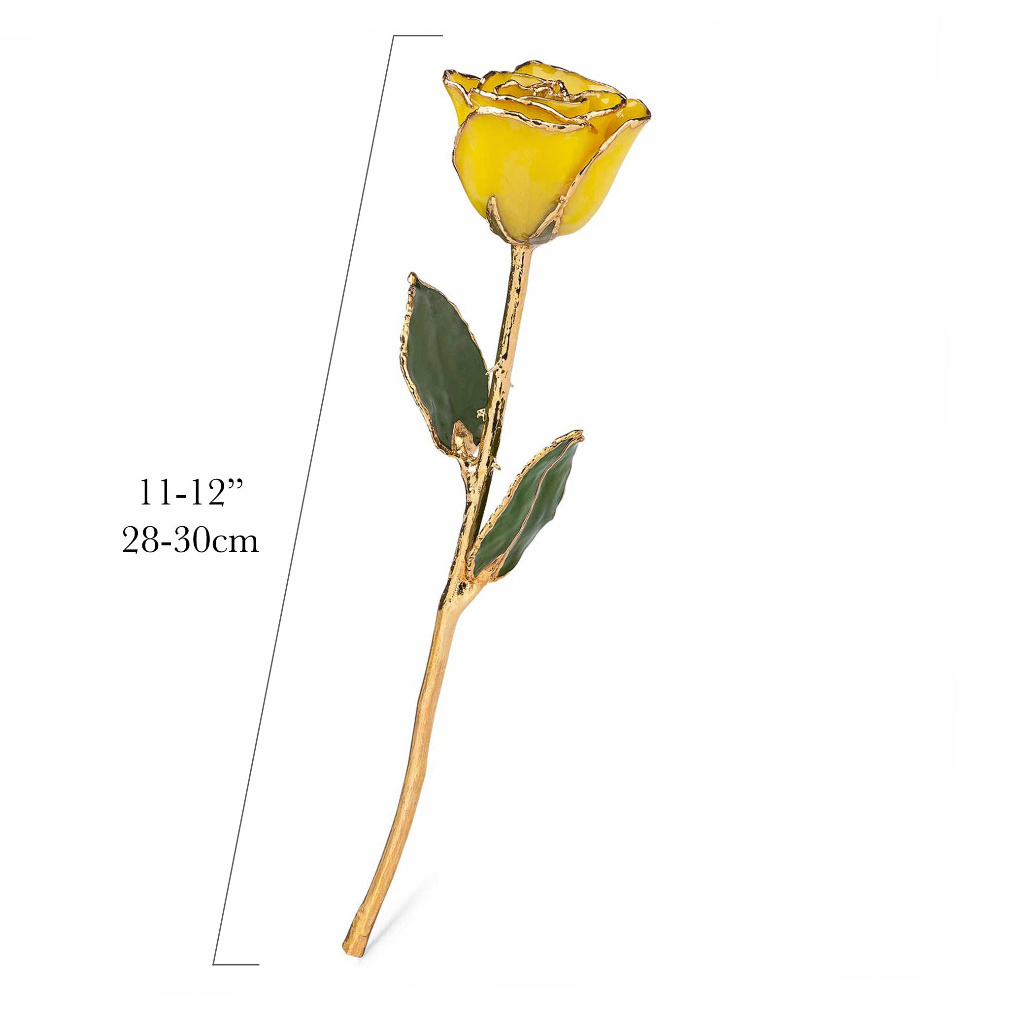 24K Gold Trimmed Forever Rose with Yellow Petals. View of Stem, Leaves, and Rose Petals and Showing Detail of Gold Trim. Measurements of rose shown.