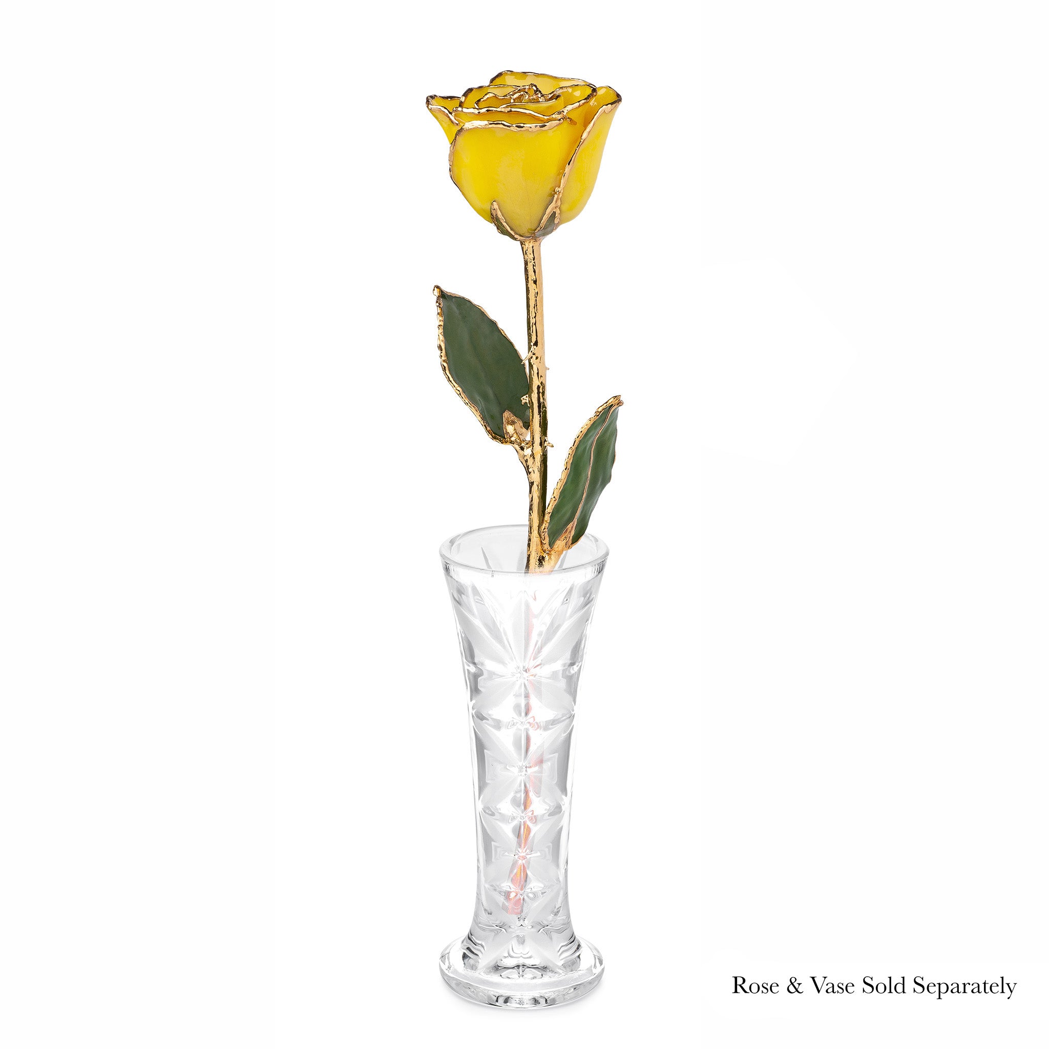 24K Gold Forever Rose - Yellow