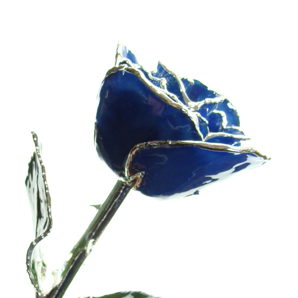 Silver Forever Rose Blue The Forever Rose