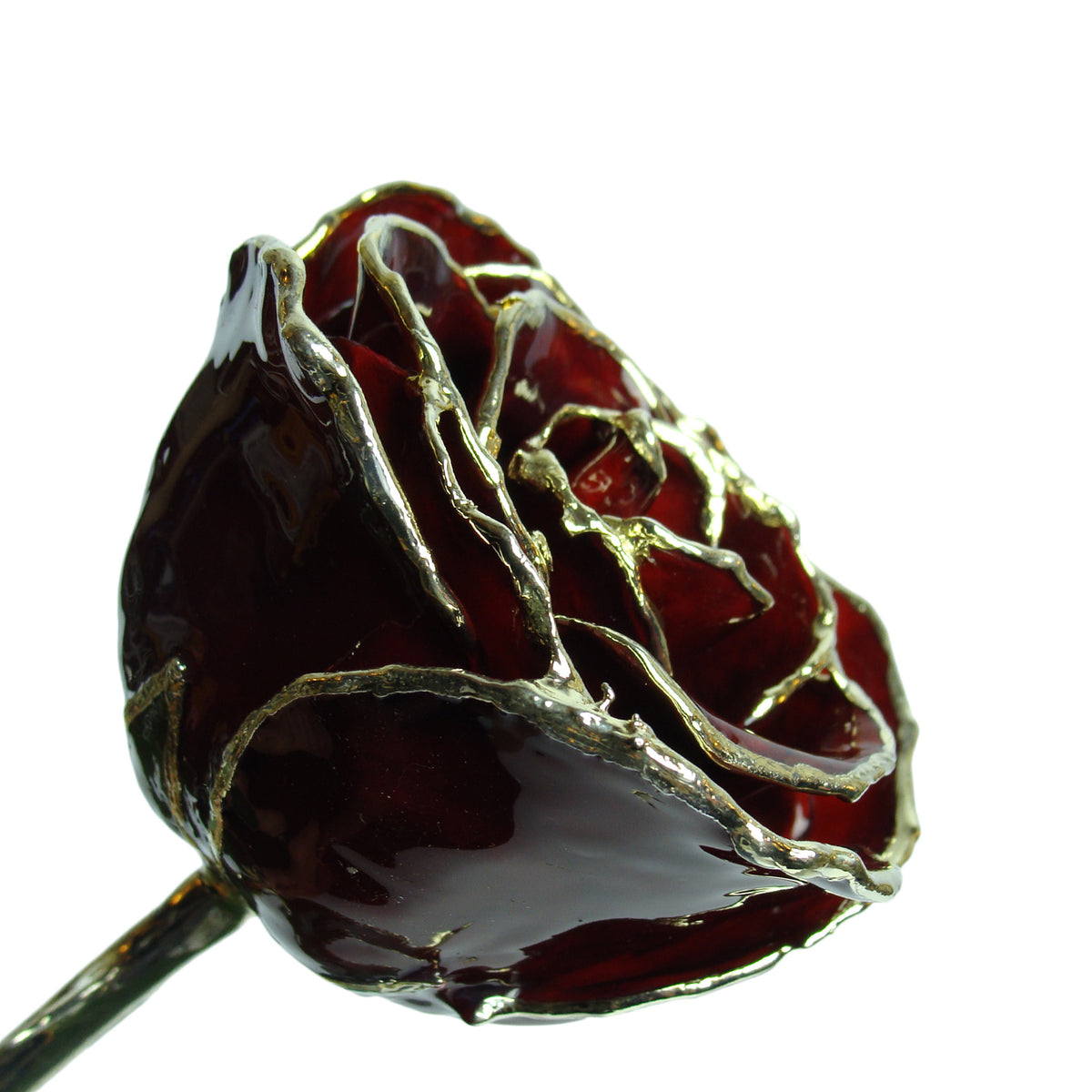 Silver Trimmed Forever Rose with Burgundy Petals. View of Stem, Leaves, and Rose Petals and Showing Detail of Silver Trim