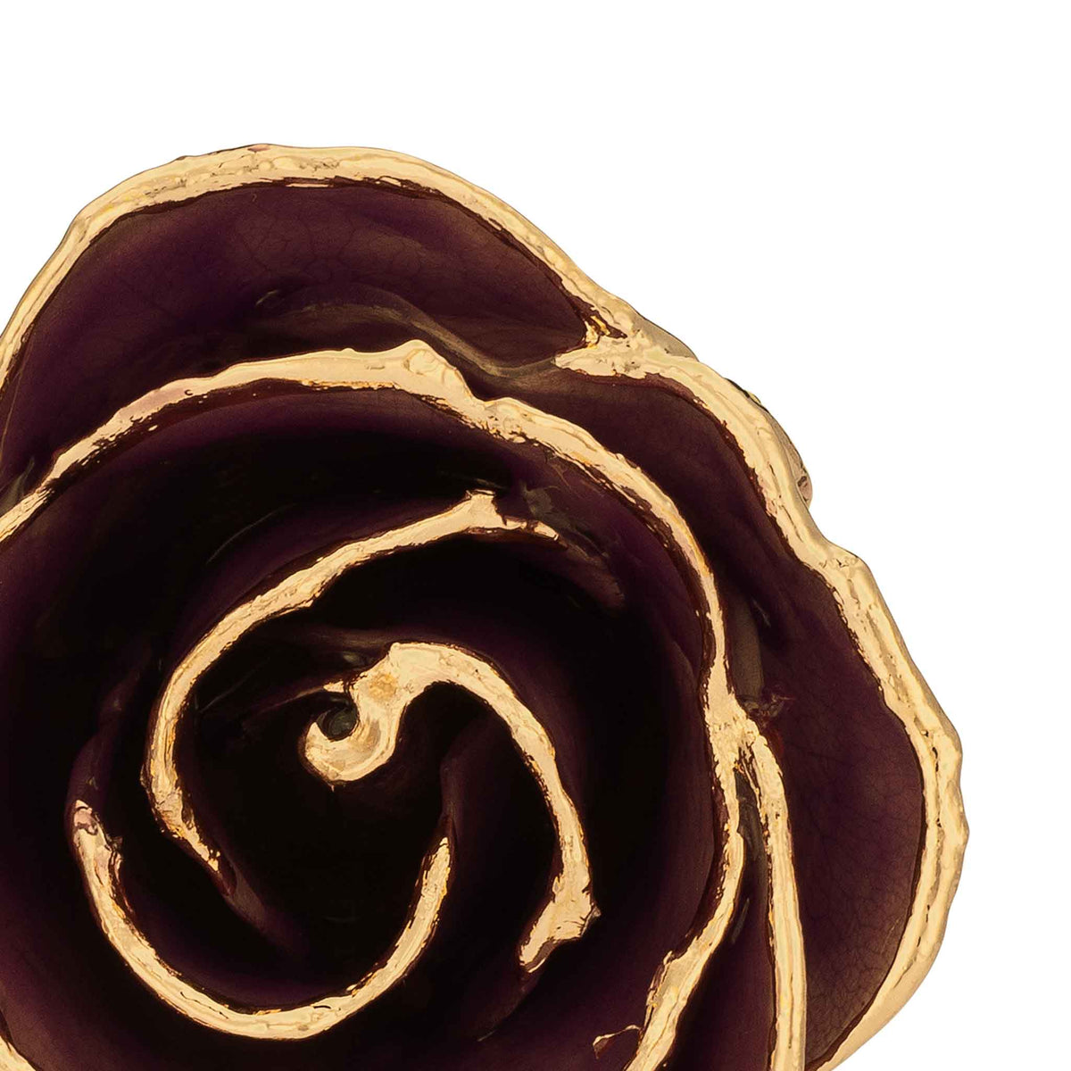 Custom Enchanted Rose w/ 24K Chocolate