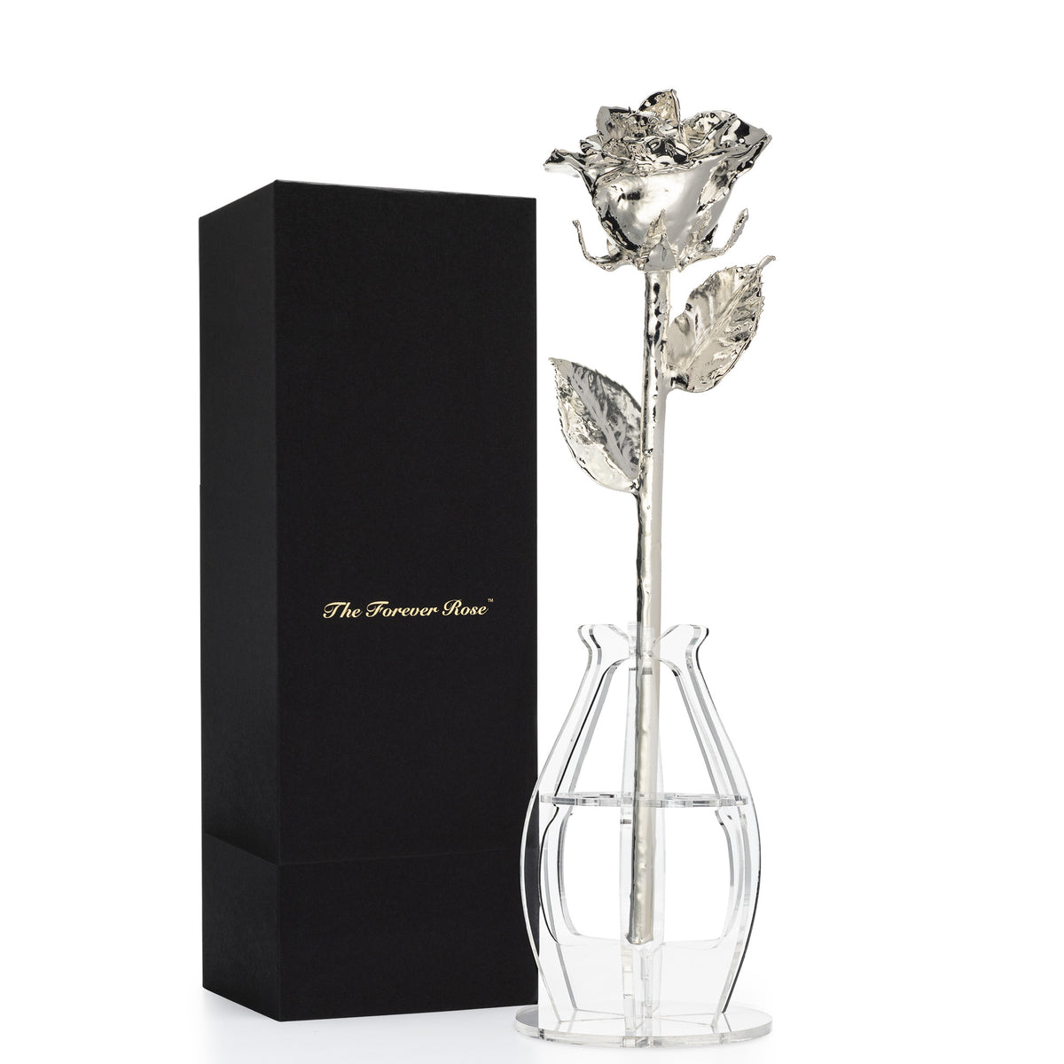 Forever Rose Bloom Box &amp; Phantom Vase™ Combo (Silver)