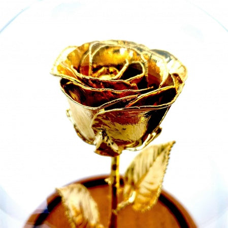 Custom Enchanted Rose w/ High Detail Gold Rose