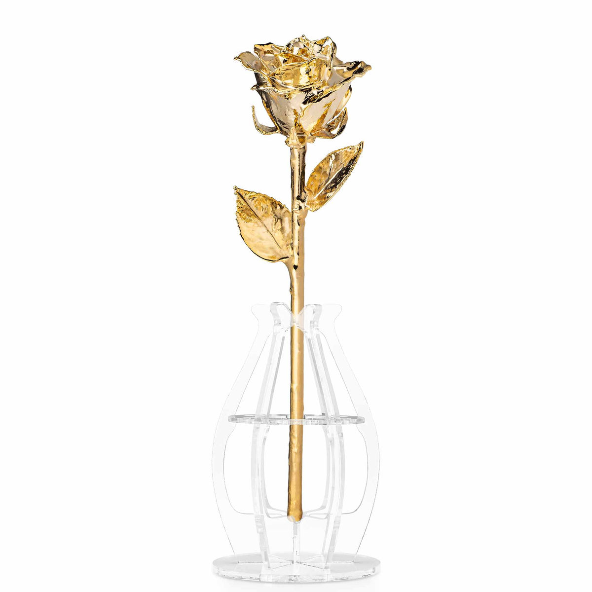 Forever Rose Bloom Box &amp; Phantom Vase™ Combo (24K Gold)