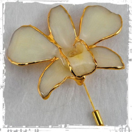 Real Dendrobium Golden Orchid Pins