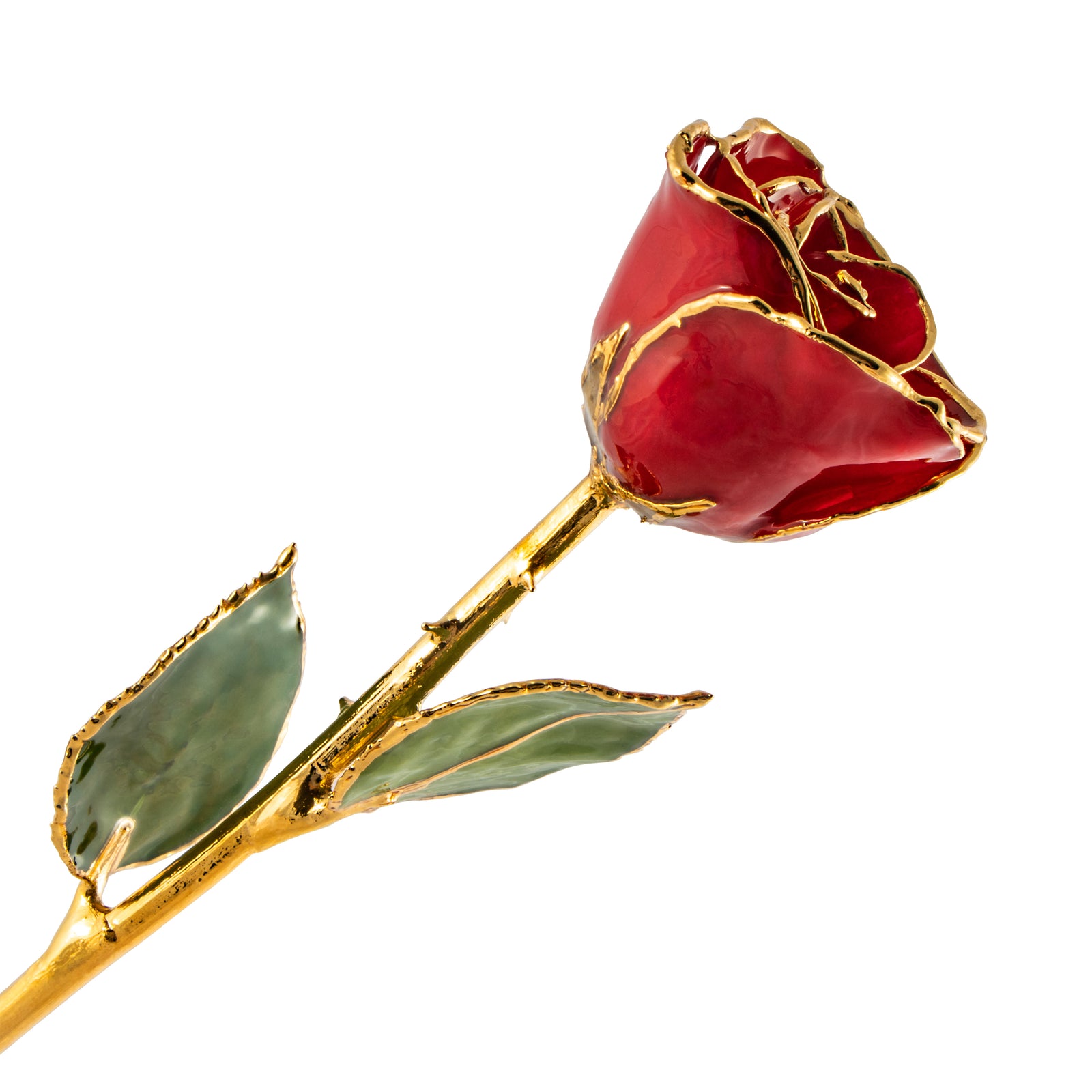 Valentine's Day Gifts