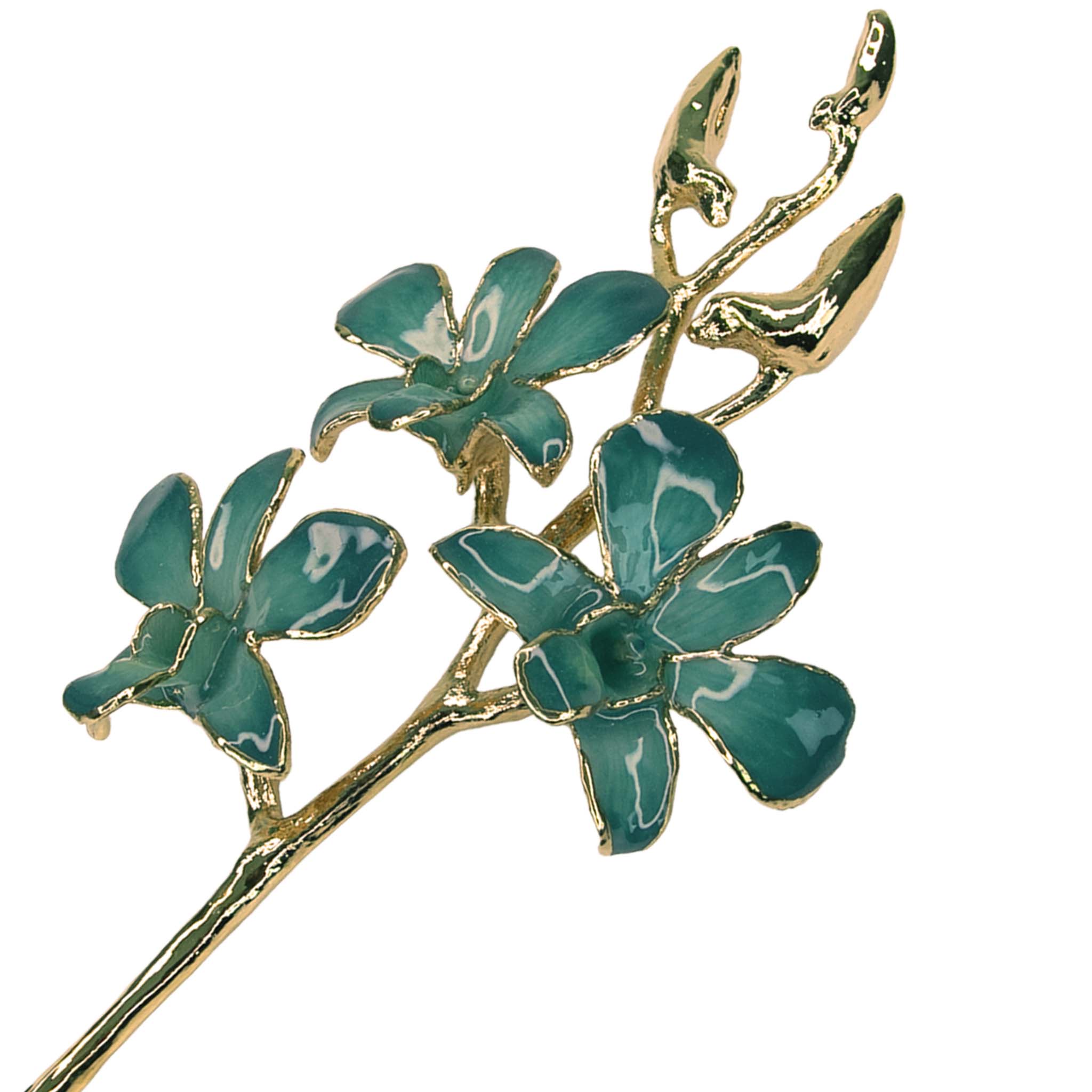 24K Gold Orchid - Velvet Emerald