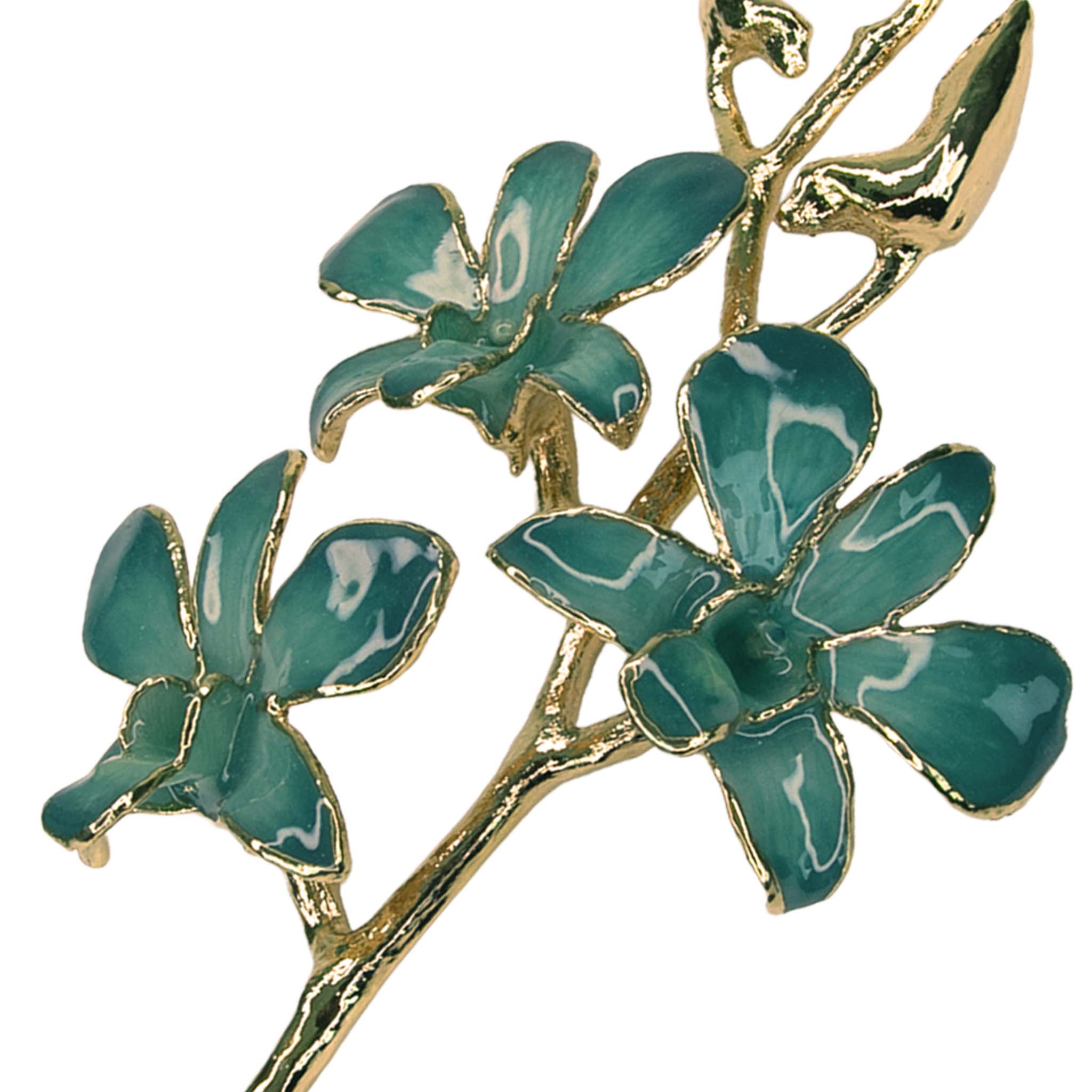 24K Gold Orchid - Velvet Emerald