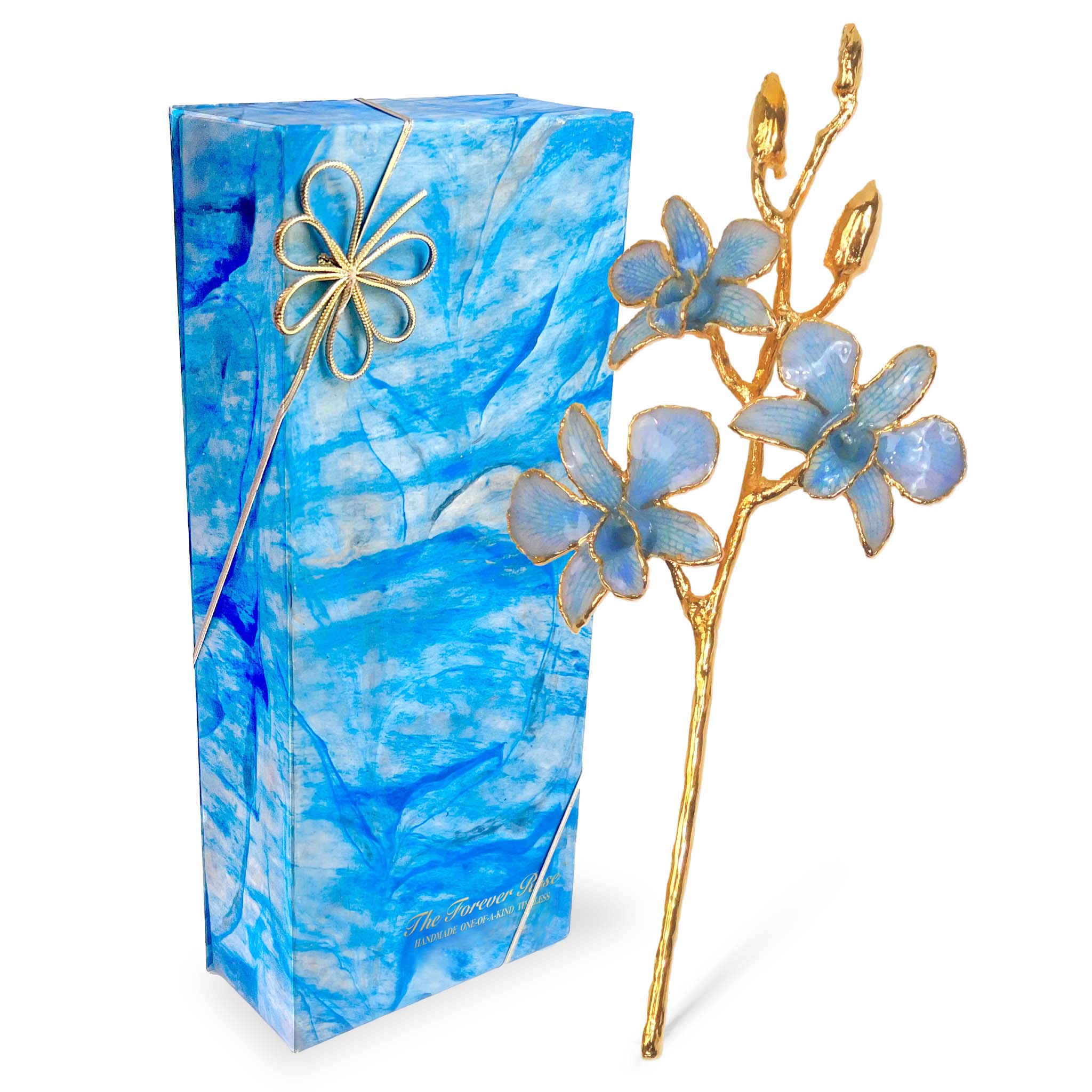 24K Gold Orchid - Blue