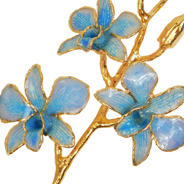 24K Gold Orchid - Blue
