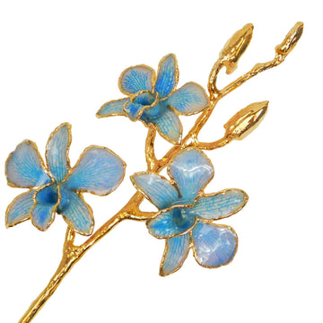 24K Gold Orchid - Blue