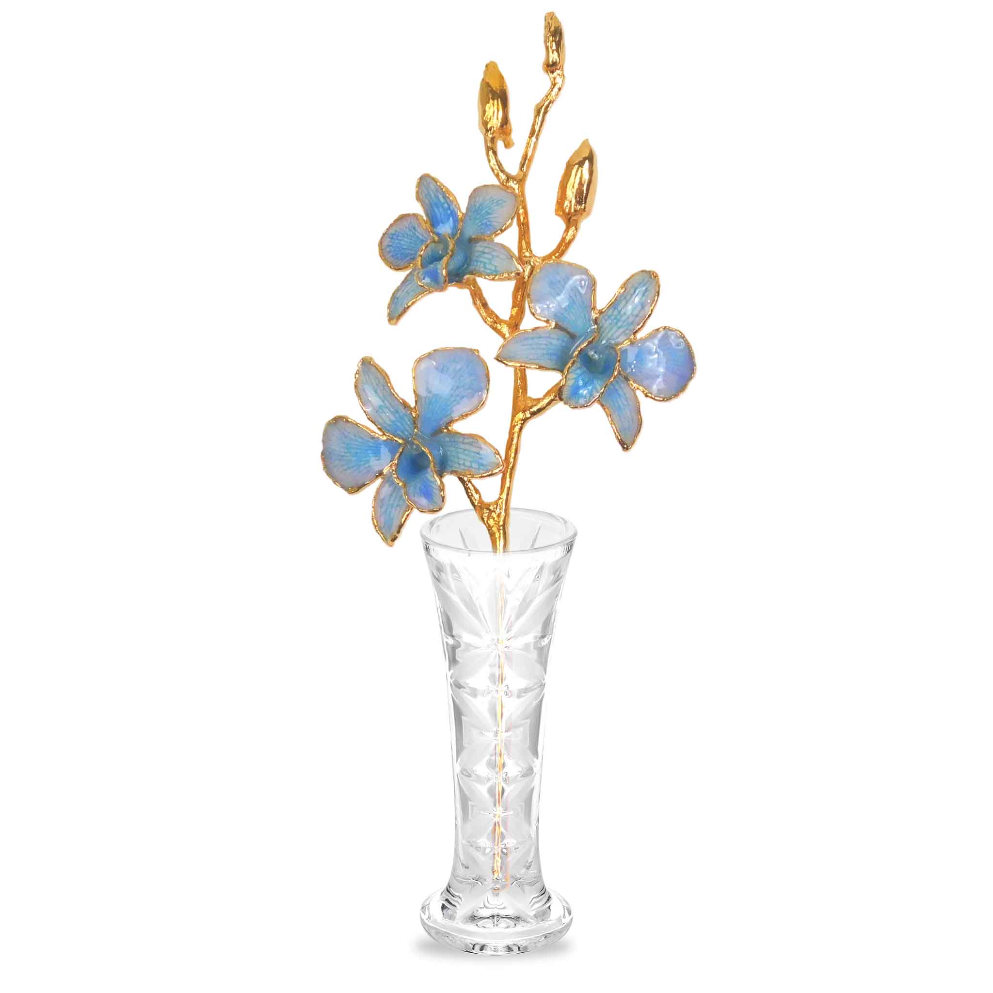 24K Gold Orchid - Blue