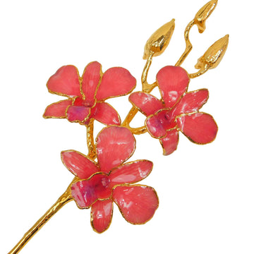 24K Gold Orchid - Coral