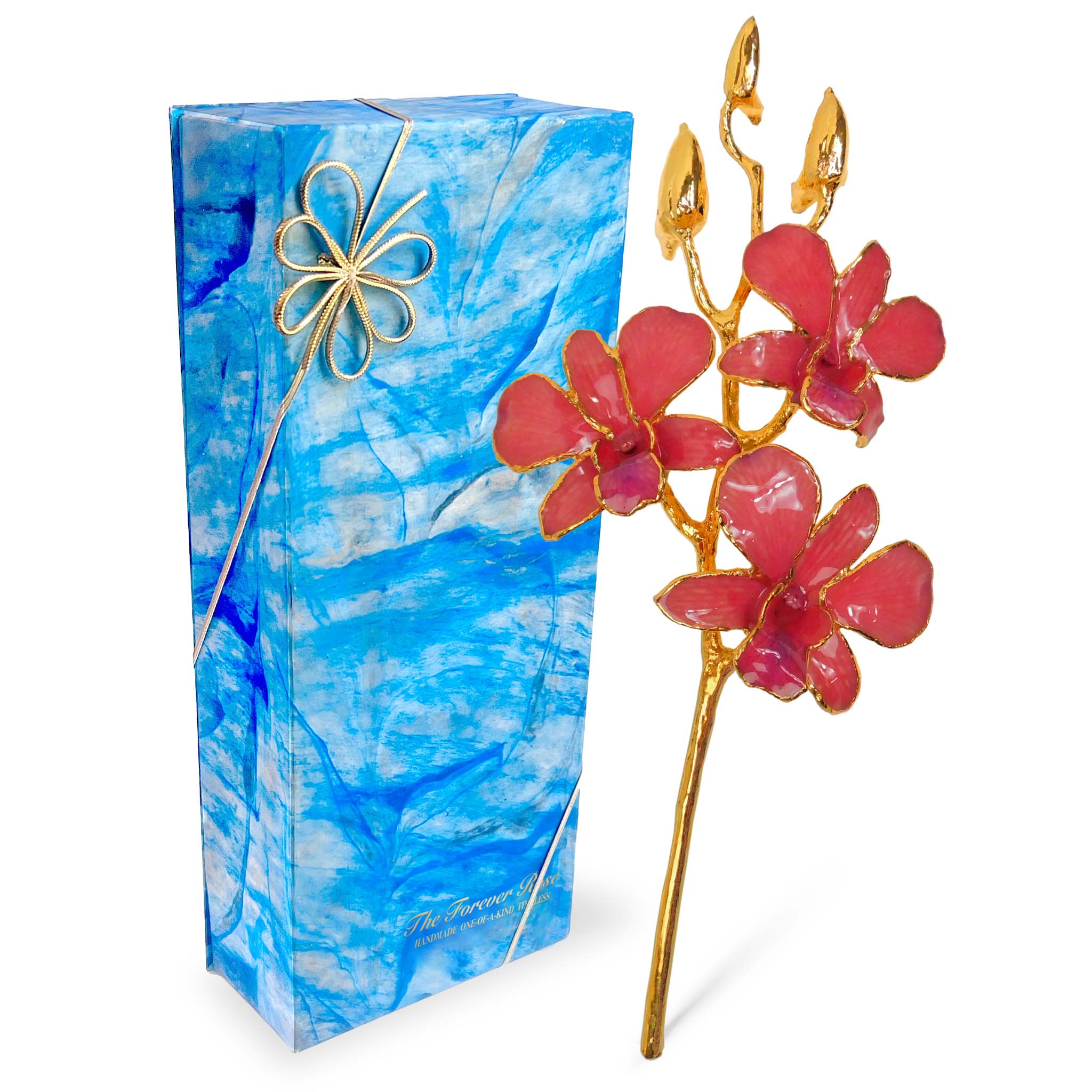 24K Gold Orchid - Coral