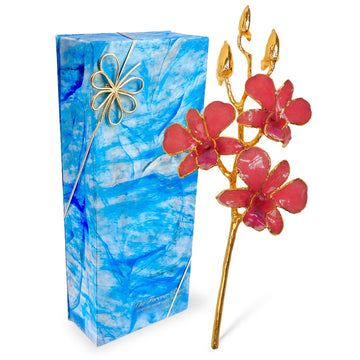 24K Gold Orchid - Coral