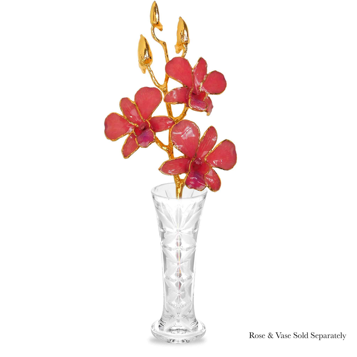 24K Gold Orchid - Coral