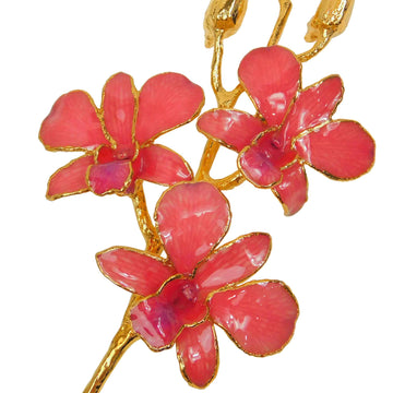 24K Gold Orchid - Coral