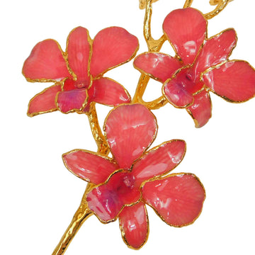 24K Gold Orchid - Coral