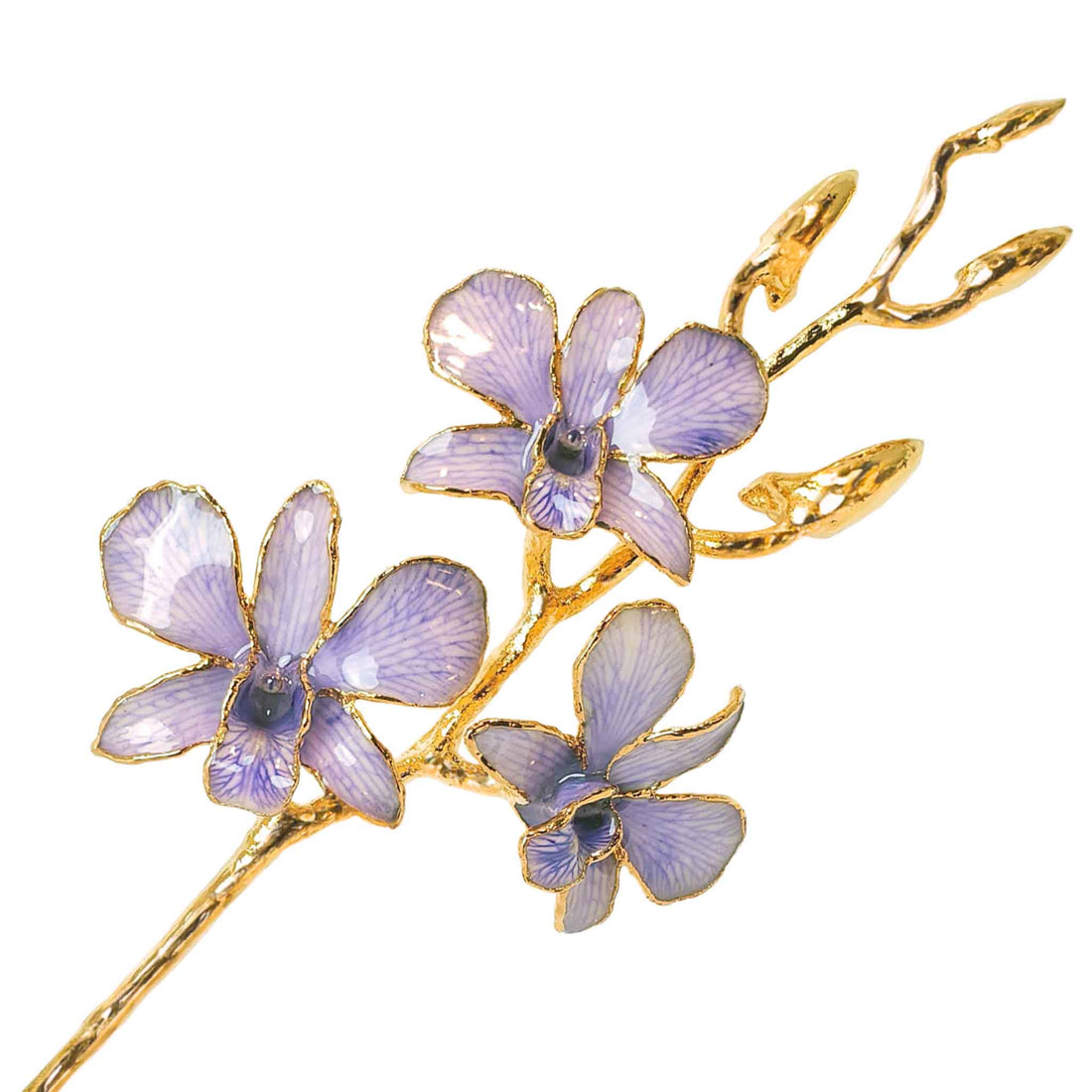24K Gold Orchid - Lavender Lace