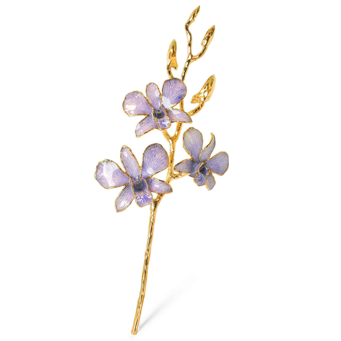 24K Gold Orchid - Lavender Lace