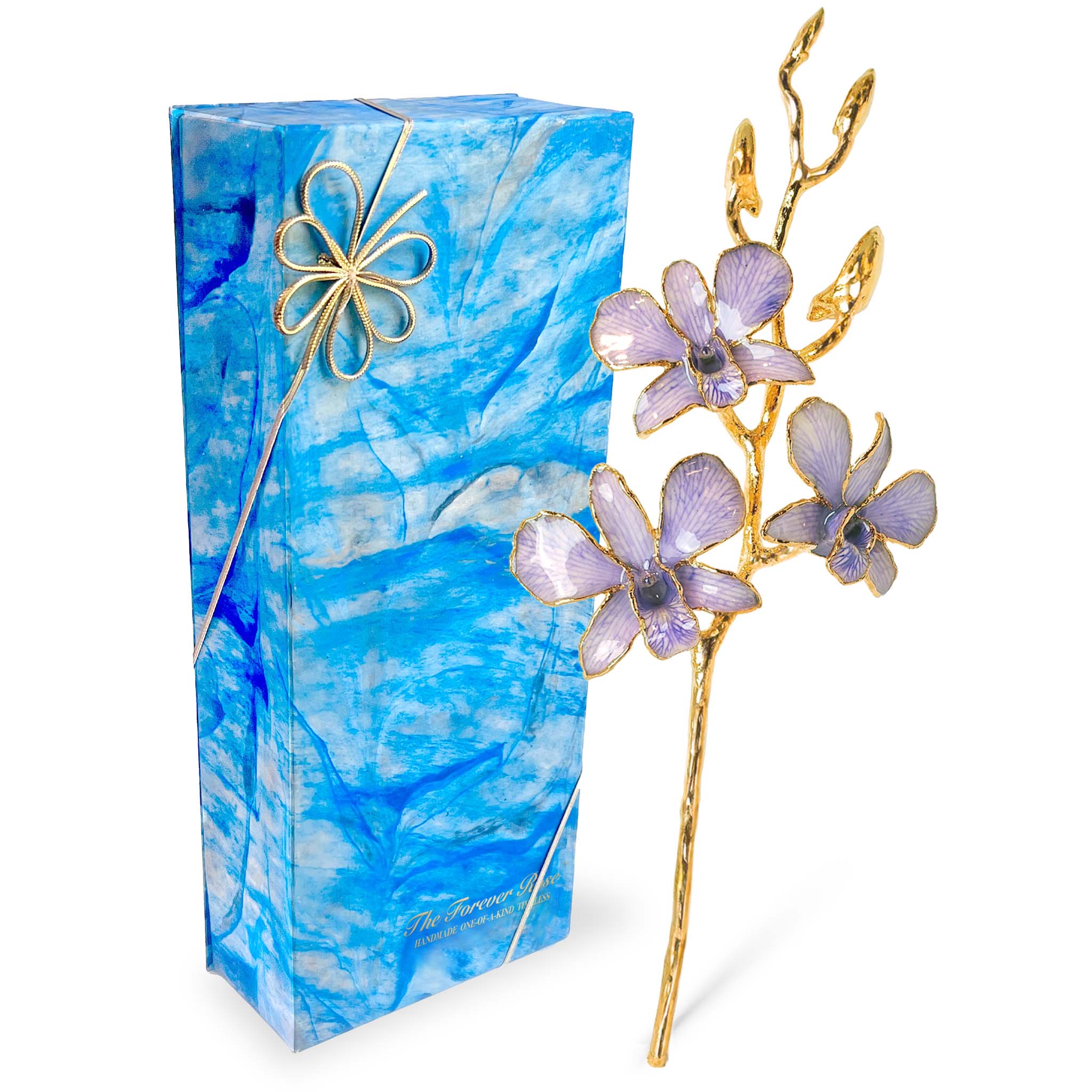 24K Gold Orchid - Lavender Lace
