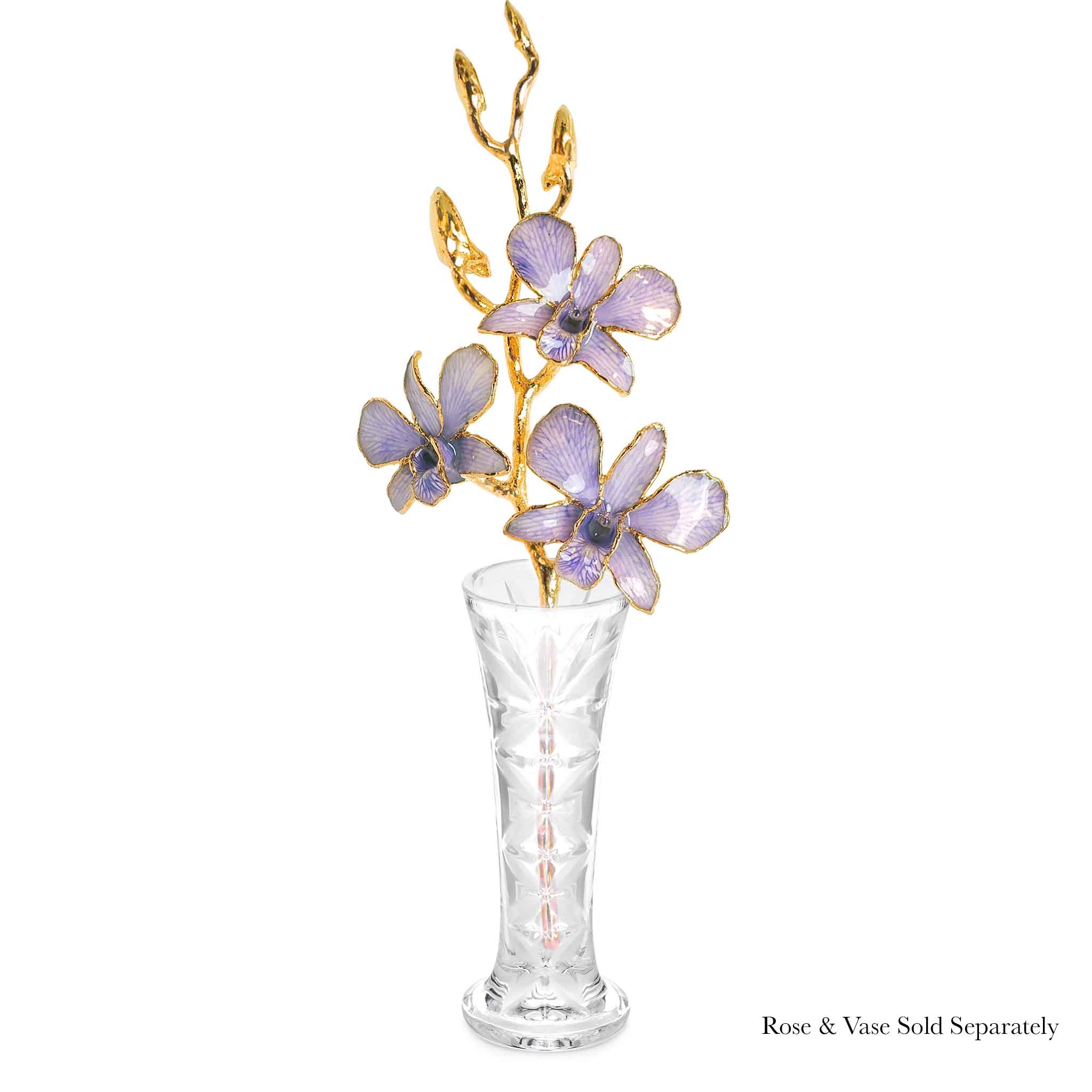 24K Gold Orchid - Lavender Lace