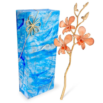 24K Gold Orchid - Peach