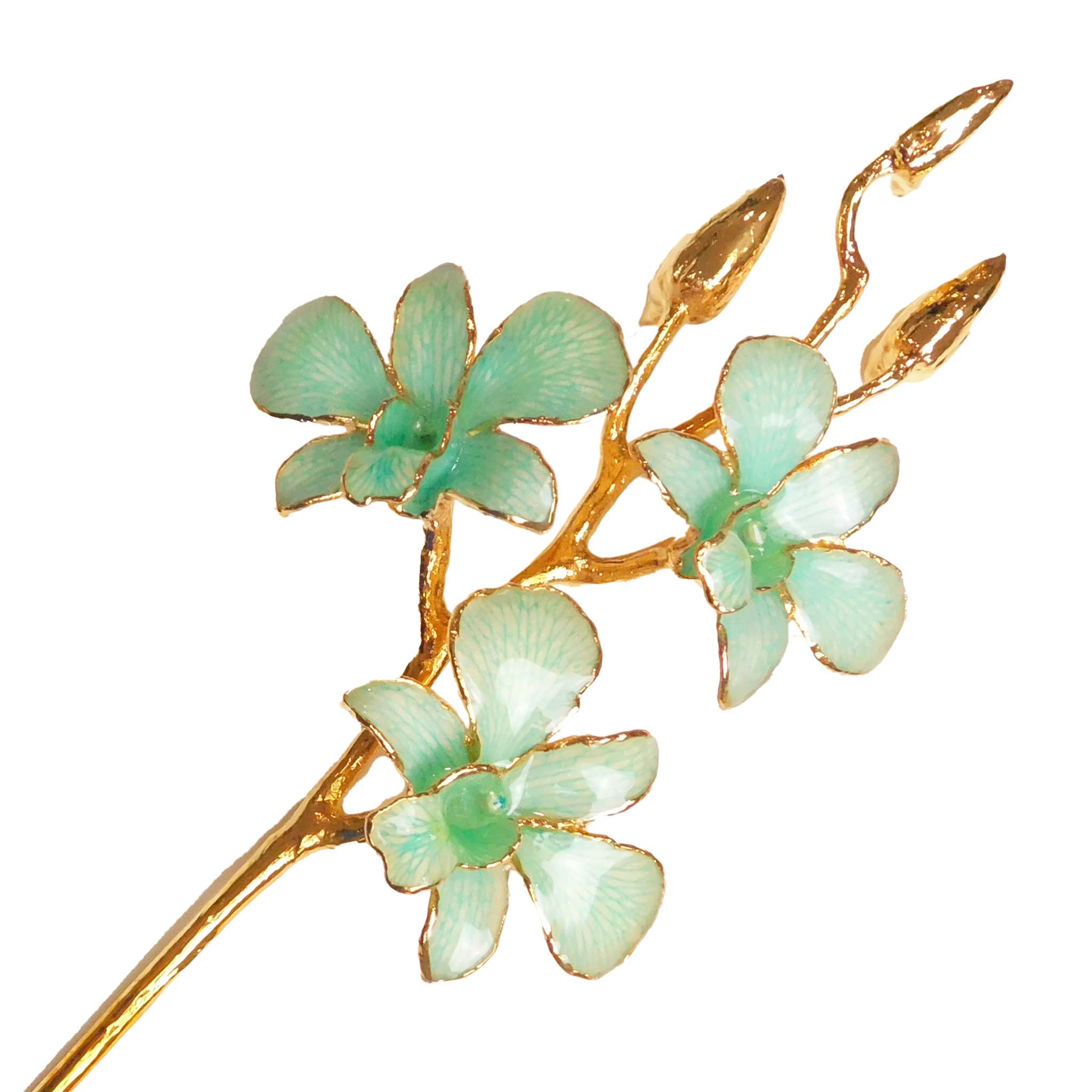 24K Gold Orchid - Teal