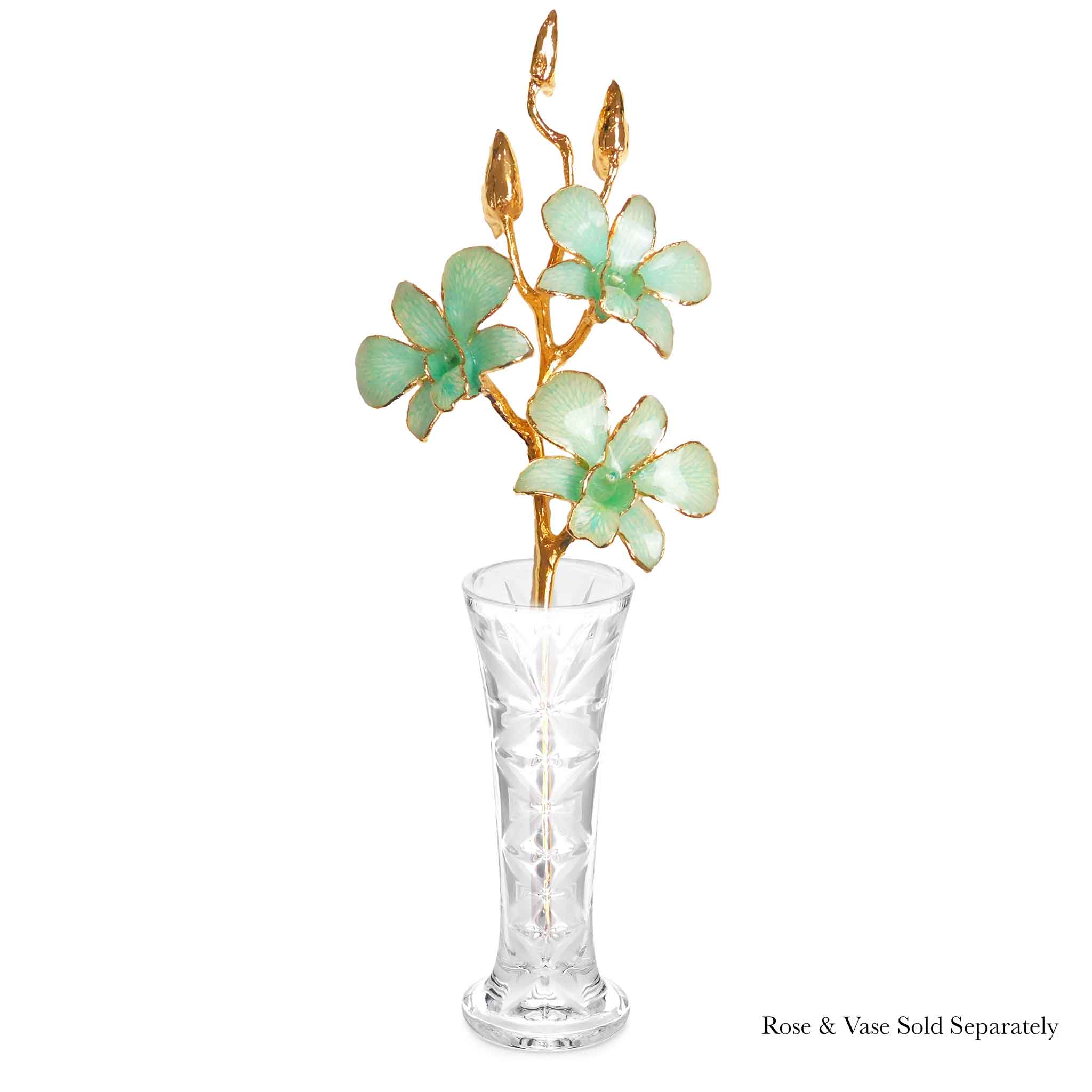 24K Gold Orchid - Teal