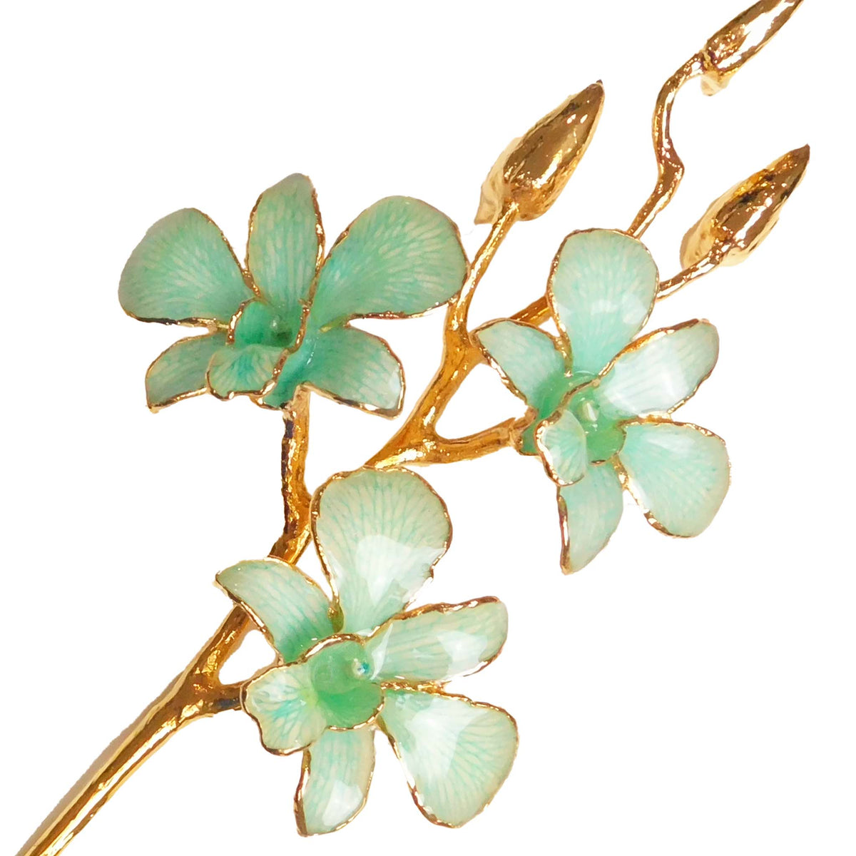 24K Gold Orchid - Teal