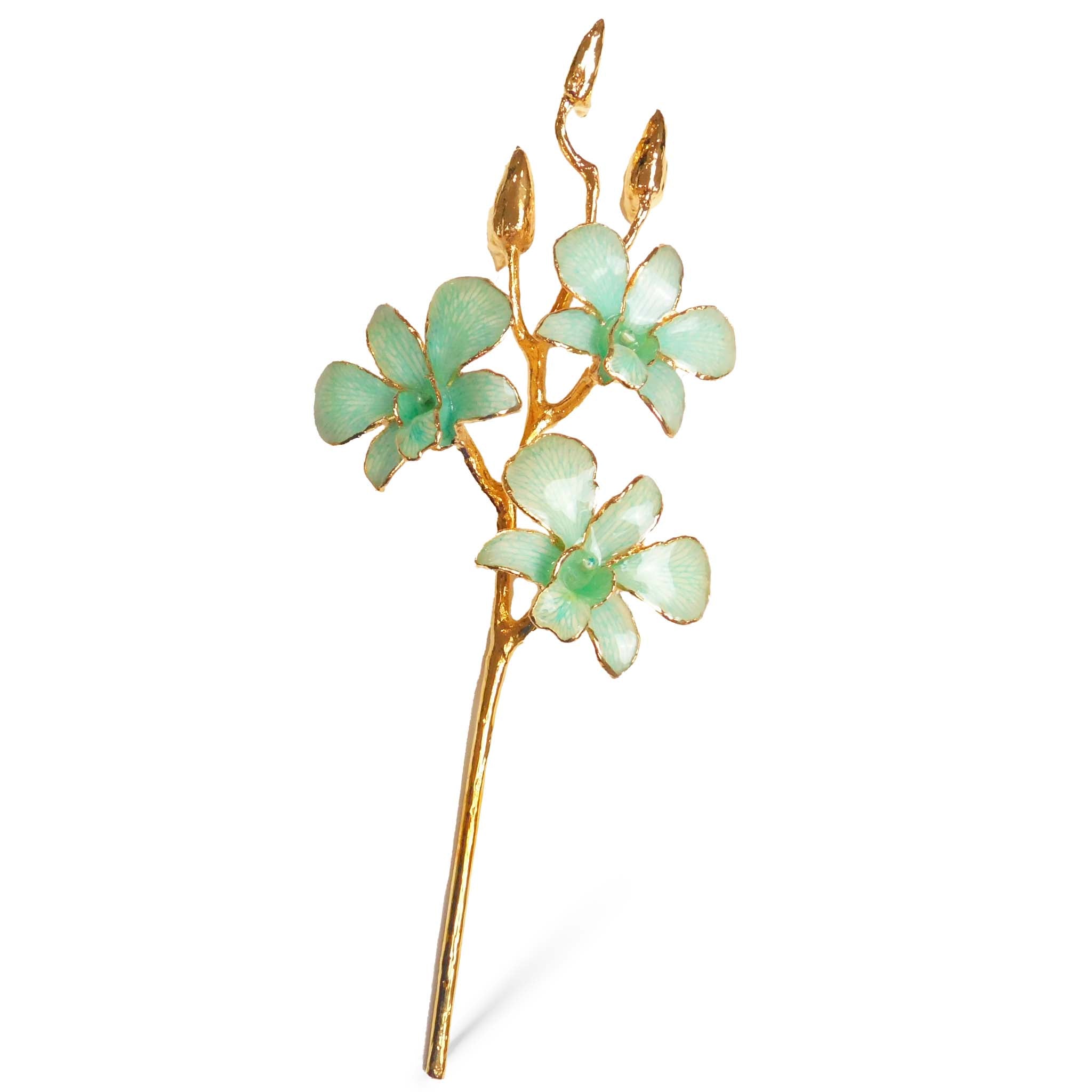 24K Gold Orchid - Teal