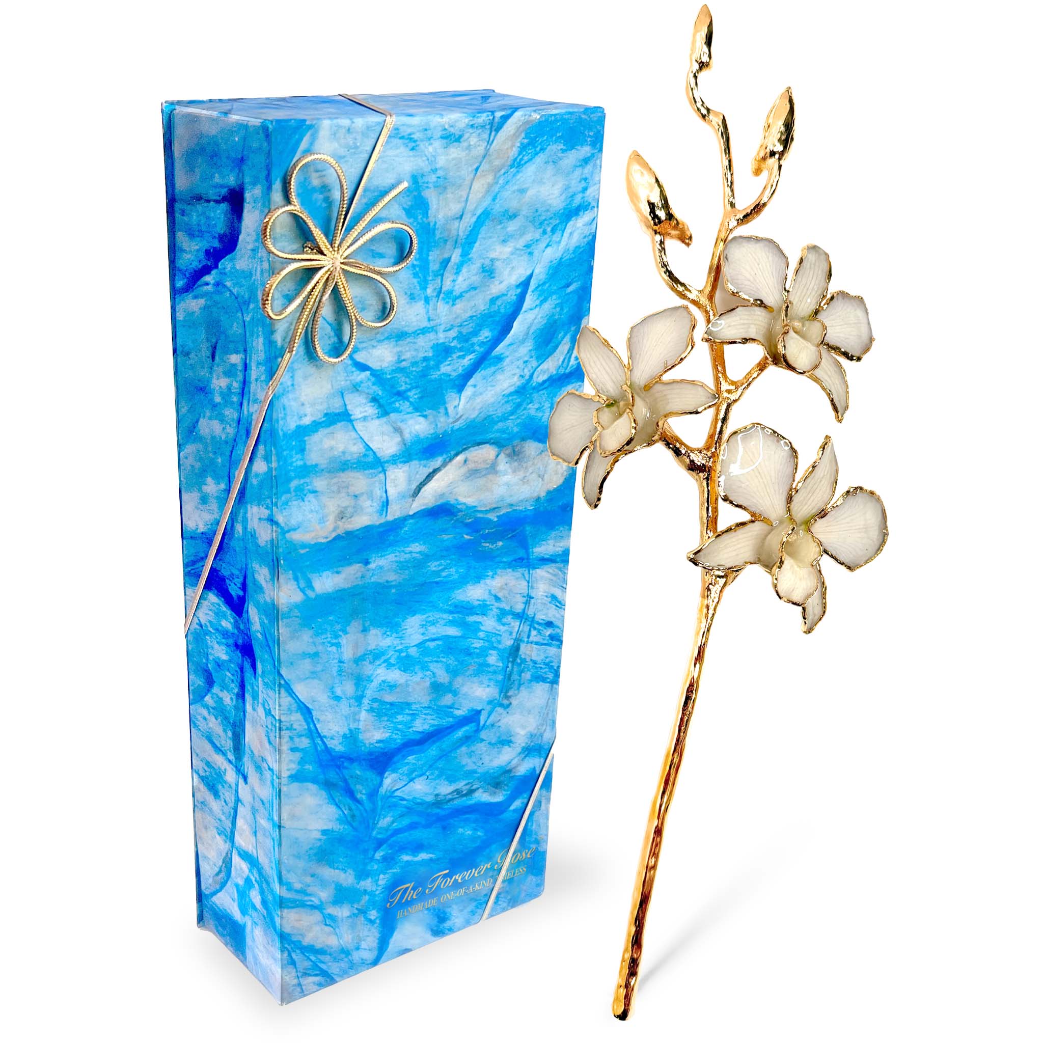 24K Gold Orchid - White Lace
